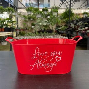 Base Ovalada de San Valentín