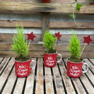 Pino Limon con Taza Grande